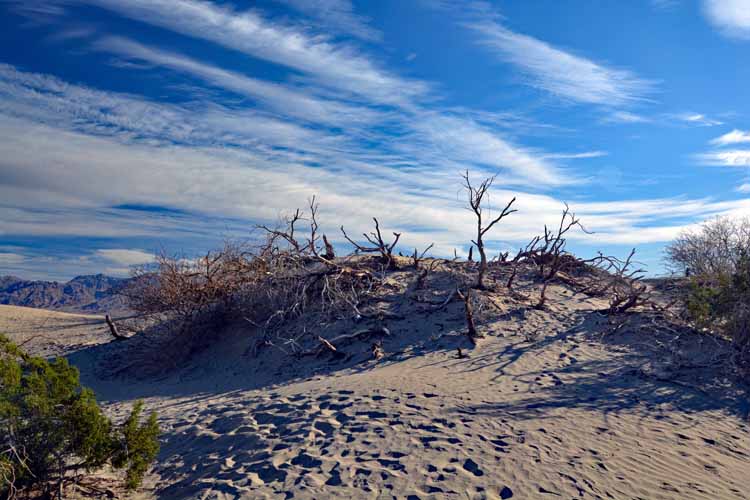 sand dunes